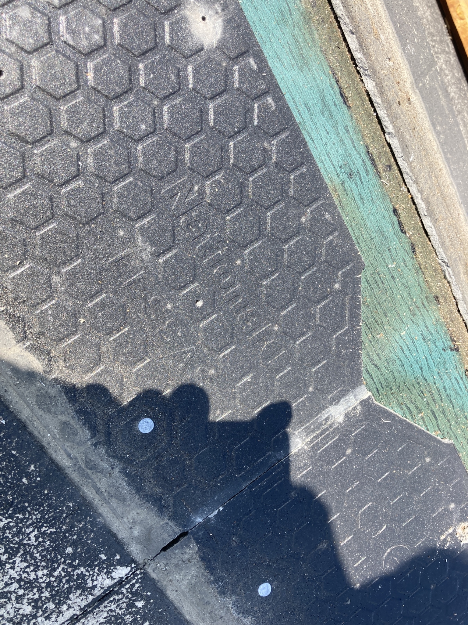 大屋根のトップライト